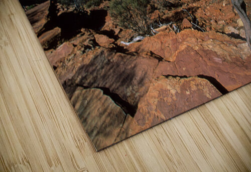 A gnarled tree overlooks a river in a vast canyon. Marco Brivio puzzle