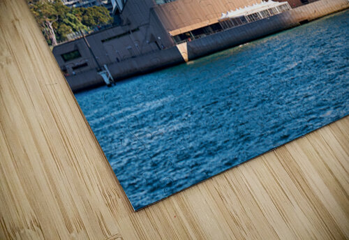 Sydney Opera House and city skyline on a clear day. Marco Brivio puzzle