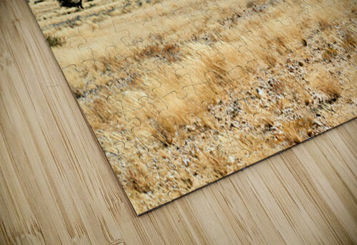 Granite peaks of Spizkoppe rise above the Namib Desert in Namibi Marco Brivio puzzle