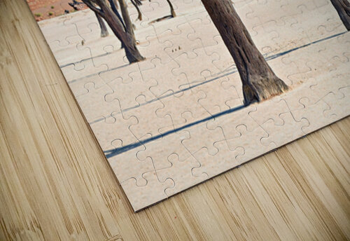 Dried camel thorn trees in Deadvlei pan in Namibia Marco Brivio puzzle