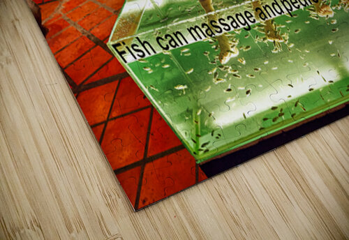 Smiling women enjoy fish foot spa. Marco Brivio puzzle