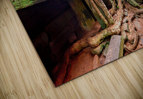 Massive tree roots engulfing ancient moss covered temple ruins. Marco Brivio puzzle