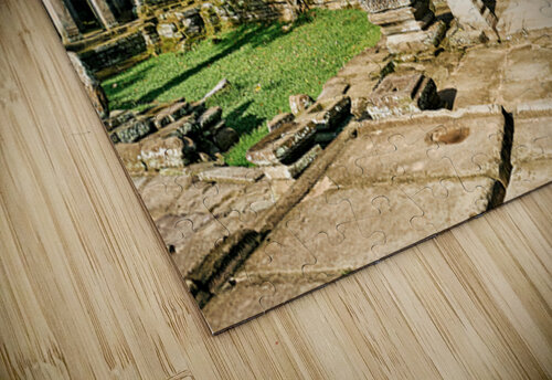 Ancient temple ruins overgrown by massive tree roots. Marco Brivio puzzle