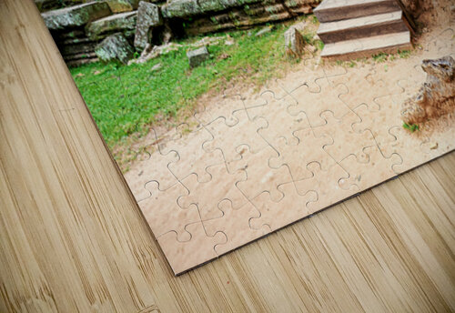 Ancient temple ruins intertwined with giant tree. Marco Brivio puzzle