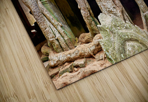 Massive tree roots dominate ancient mossy temple structure. Marco Brivio puzzle