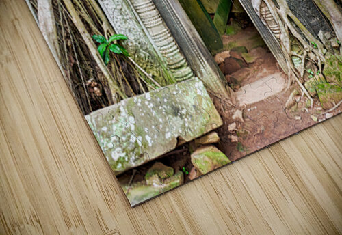 Ancient temple ruins consumed by massive tree roots. Marco Brivio puzzle