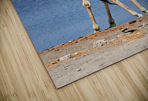 Giraffe drinks water at a waterhole in Etosha National Park Nami Marco Brivio puzzle