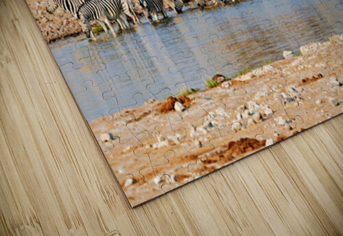 Zebras drink water at a waterhole in Etosha National Park Namibi Marco Brivio puzzle