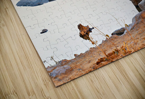 Elephant drinks at waterhole during sunset in Etosha National Pa Marco Brivio puzzle