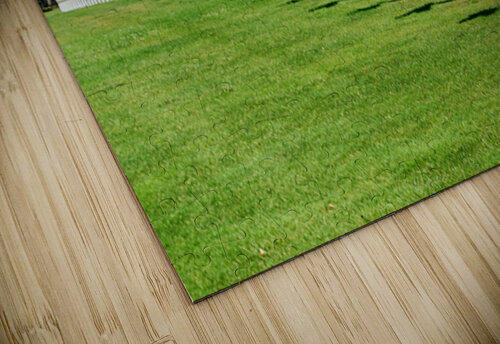 Grave markers at Normandy American Cemetery in Colleville sur Me Marco Brivio puzzle