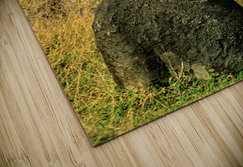 Iconic Moai statue stands tall on Easter Island. Marco Brivio puzzle