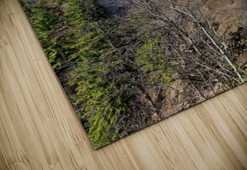 Visit Neuschwanstein Castle along the Romantic Road in Bavaria G Marco Brivio puzzle