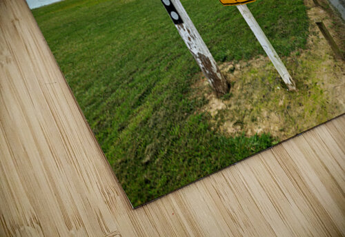 Penguin crossing sign alerts wildlife in Oamaru NZ Marco Brivio puzzle
