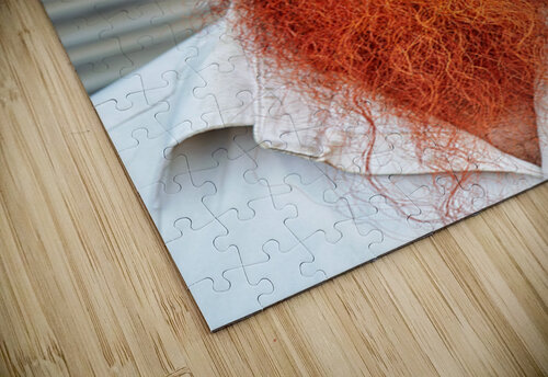 Portrait of a man with red beard in Jodhpur India Marco Brivio puzzle