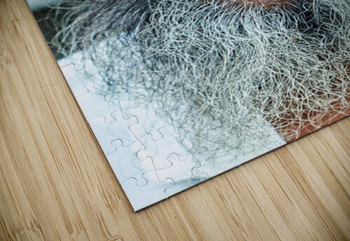 Old man in Rajasthan Jodhpur with a long beard and thoughtful ga Marco Brivio puzzle