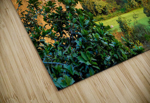 Explore the historic Fort Complex in Orchha Madhya Pradesh Ind Marco Brivio puzzle