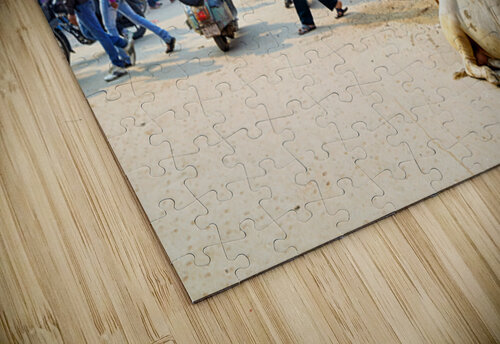 Cows roam the streets of Varanasi Benares Uttar Pradesh Marco Brivio puzzle