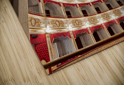 Inside Teatro Tina di Lorenzo in Noto Sicily during a performanc Marco Brivio puzzle
