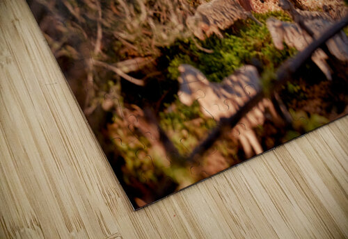 Christmas nativity scene in Caltagirone Sicily Italy Marco Brivio puzzle