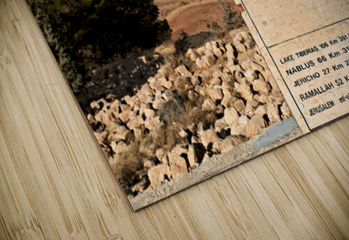 View from Mount Nebo shows signs and the Landscape of Jordan Marco Brivio puzzle