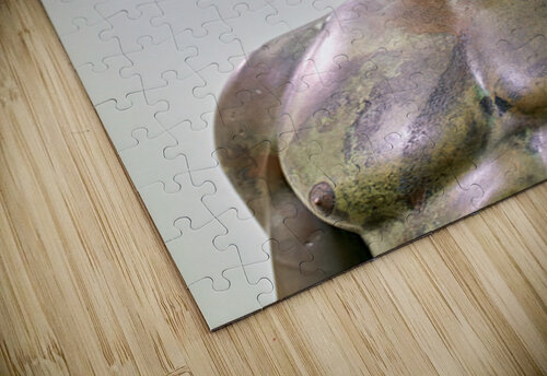 Riace bronze b at national museum reggio calabria Marco Brivio puzzle