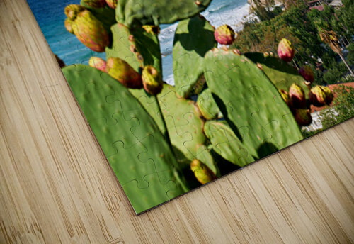 Santa Maria dellIsola Monastery in Tropea Calabria Italy by the Marco Brivio puzzle