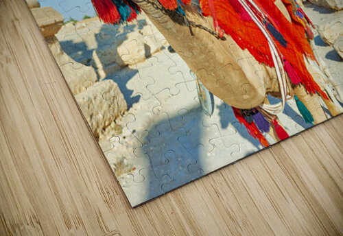 Camel driver in ancient Palmyra leading a tourist ride Marco Brivio puzzle