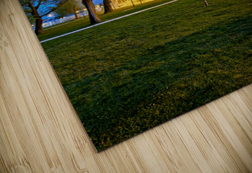 Night view of Suleymaniye Mosque in Istanbul Turkey Marco Brivio puzzle