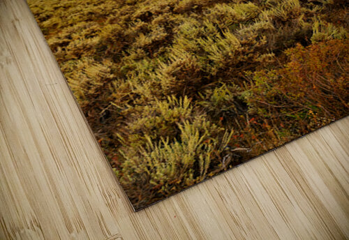 Grand Teton National Park view during the evening light Marco Brivio puzzle