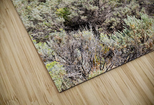 Visit Dixie National Forest in Utah with red rock formations Marco Brivio puzzle