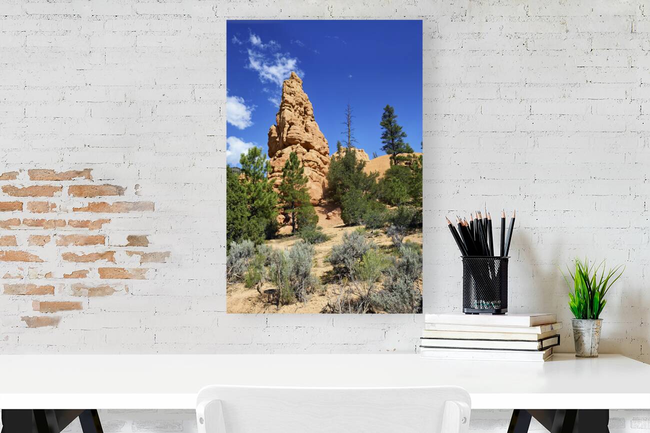 Hoodoohs at the Dixie National Forest. Utah. USA Reproduction