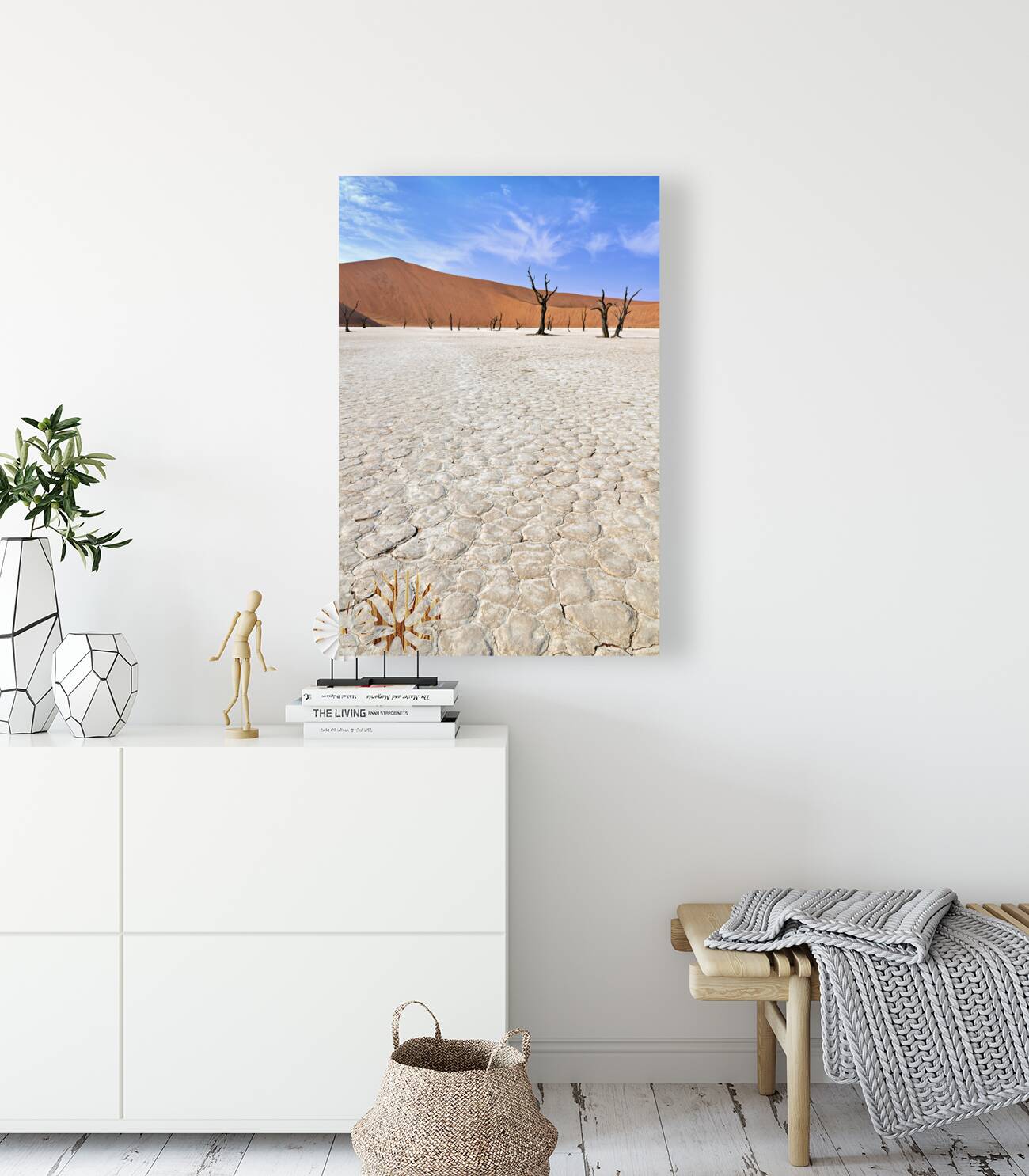 Namibia. Deadvlei clay pan. Namib Naukluft National Park. A dried out dead camel thorn Vachellia erioloba Reproduction
