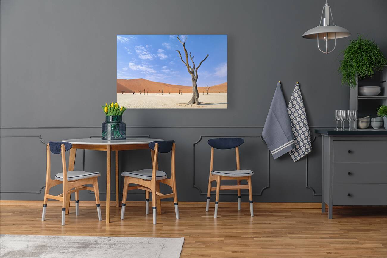 Namibia. Deadvlei clay pan. Namib Naukluft National Park. A dried out dead camel thorn Vachellia erioloba Reproduction