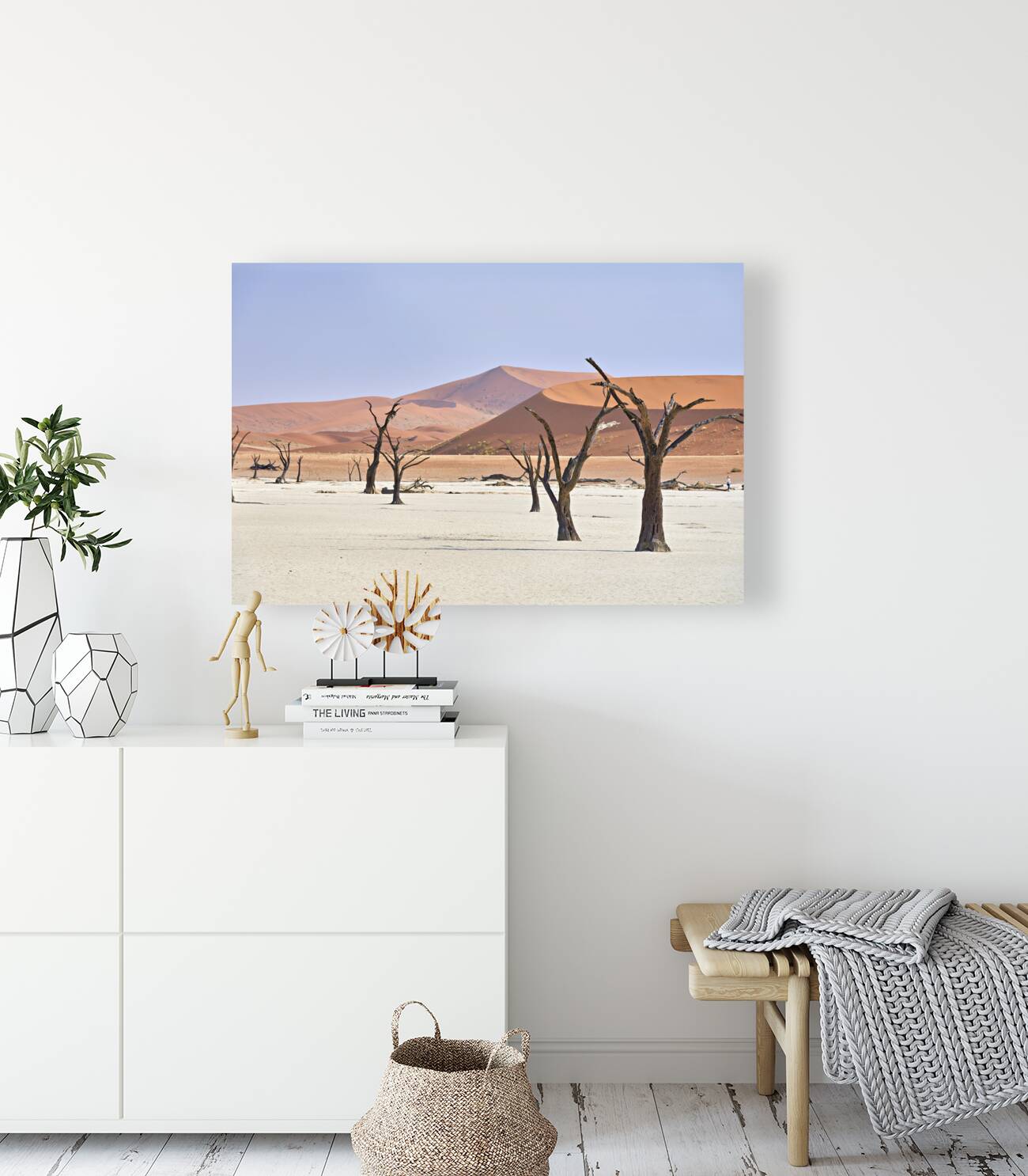 Namibia. Deadvlei clay pan. Namib Naukluft National Park. A dried out dead camel thorn Vachellia erioloba Reproduction