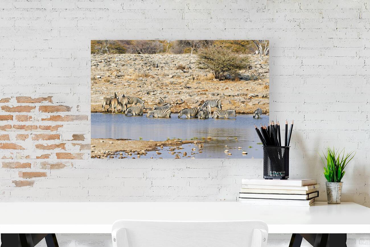 Namibia. Etosha National Park. Zebras drinking at a waterhole Reproduction