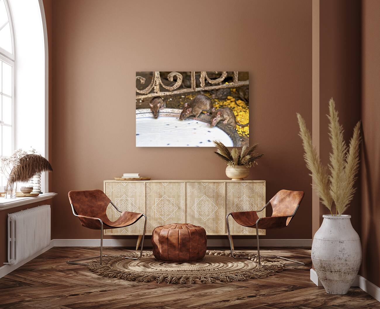 India Rajasthan. Shree Karni Mataj Temple The temple of thousands rats in Deshnok Reproduction