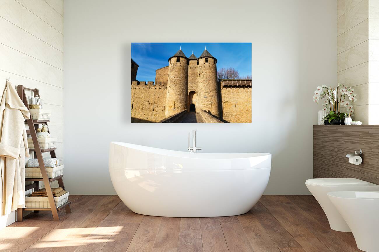 Carcassonne France Reproduction