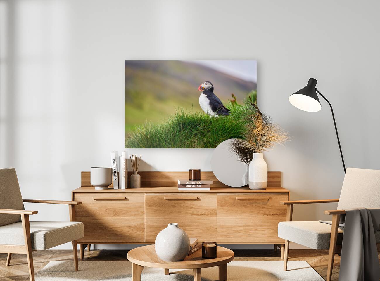 Puffins in Borgarfjörður Eystri reserve sanctuary. Iceland Reproduction