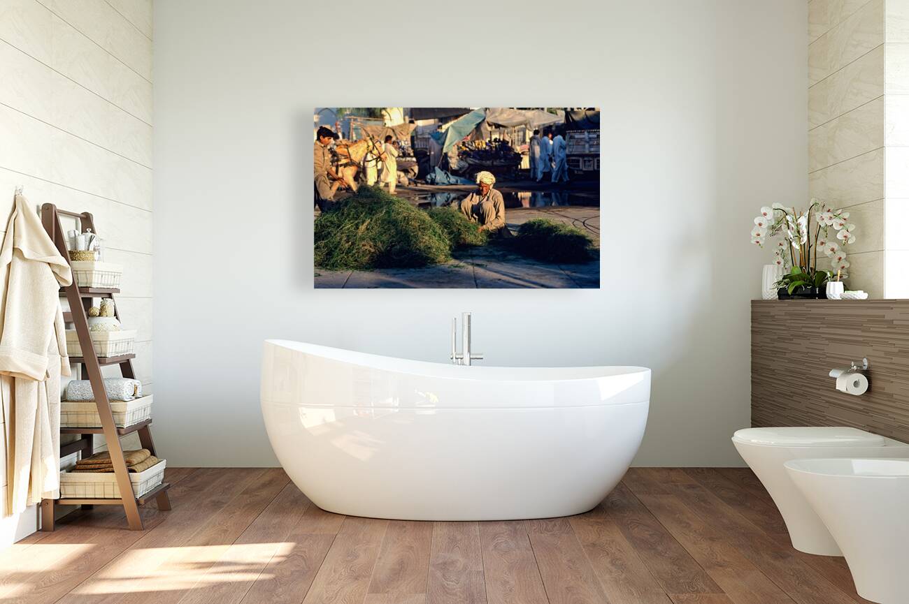 Pakistan. The street market in Lahore Reproduction