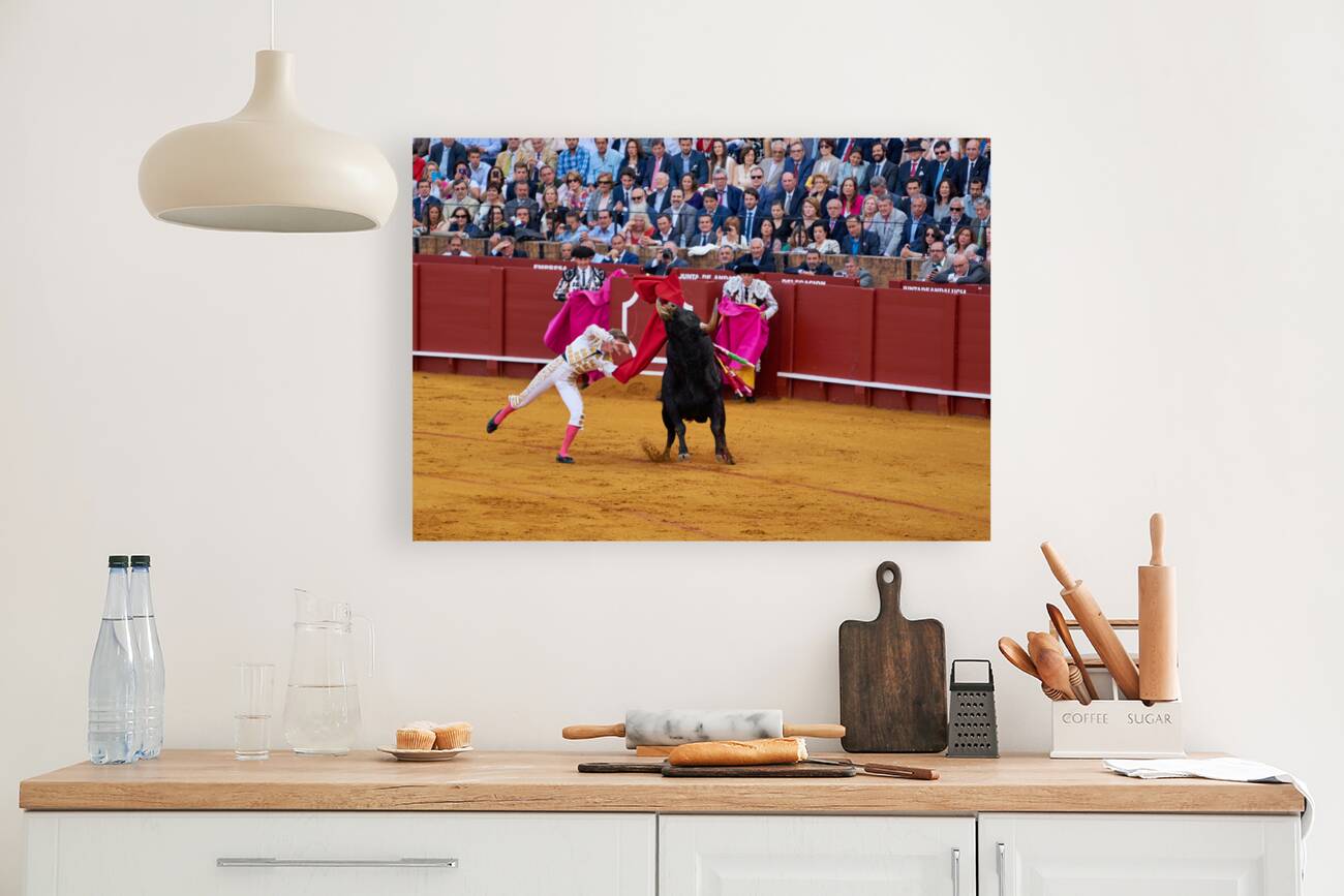 ANDALUSIA SPAIN. Bullfight in Seville Arena Reproduction