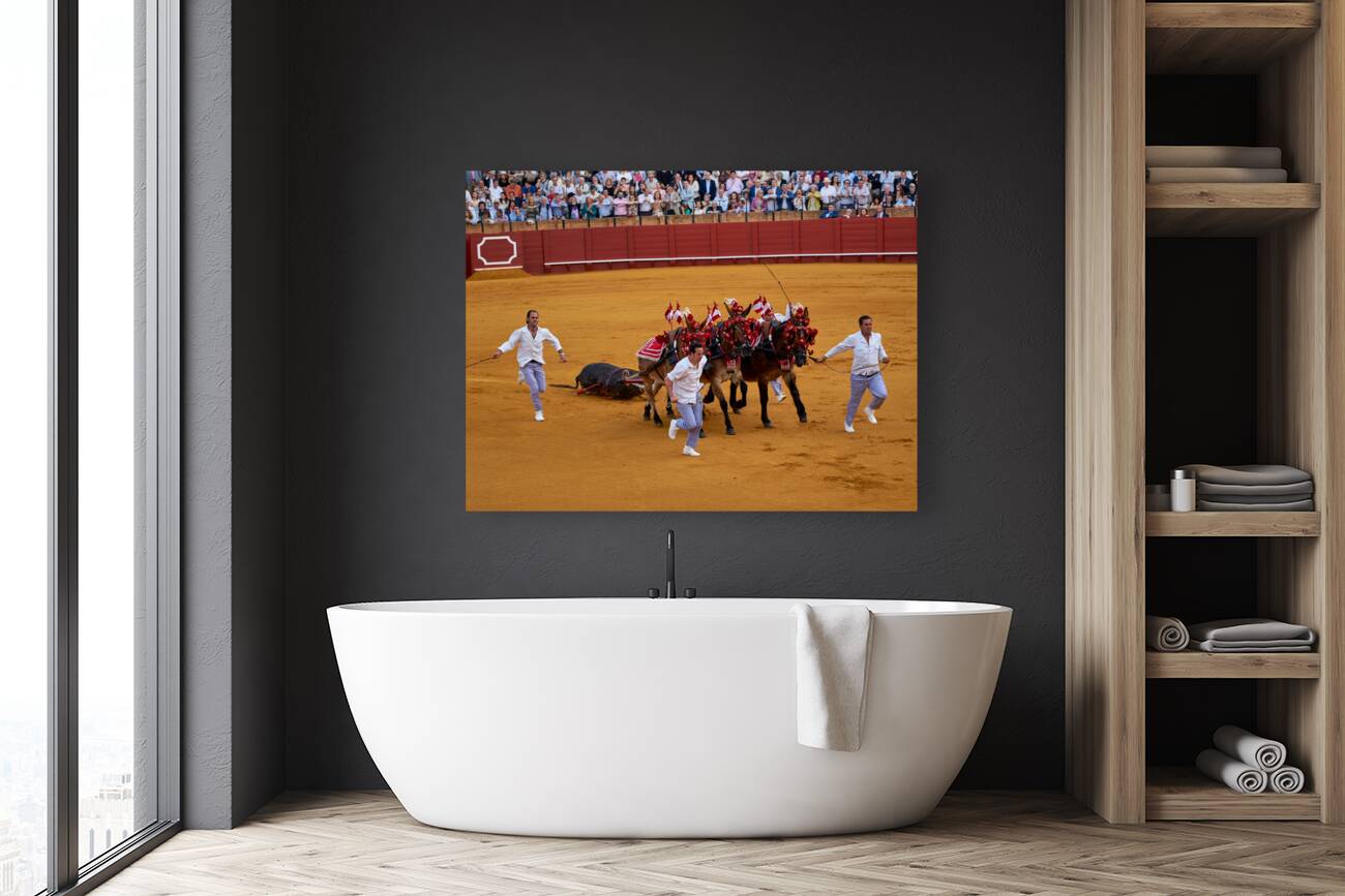 ANDALUSIA SPAIN. Bullfight in Seville Arena Reproduction