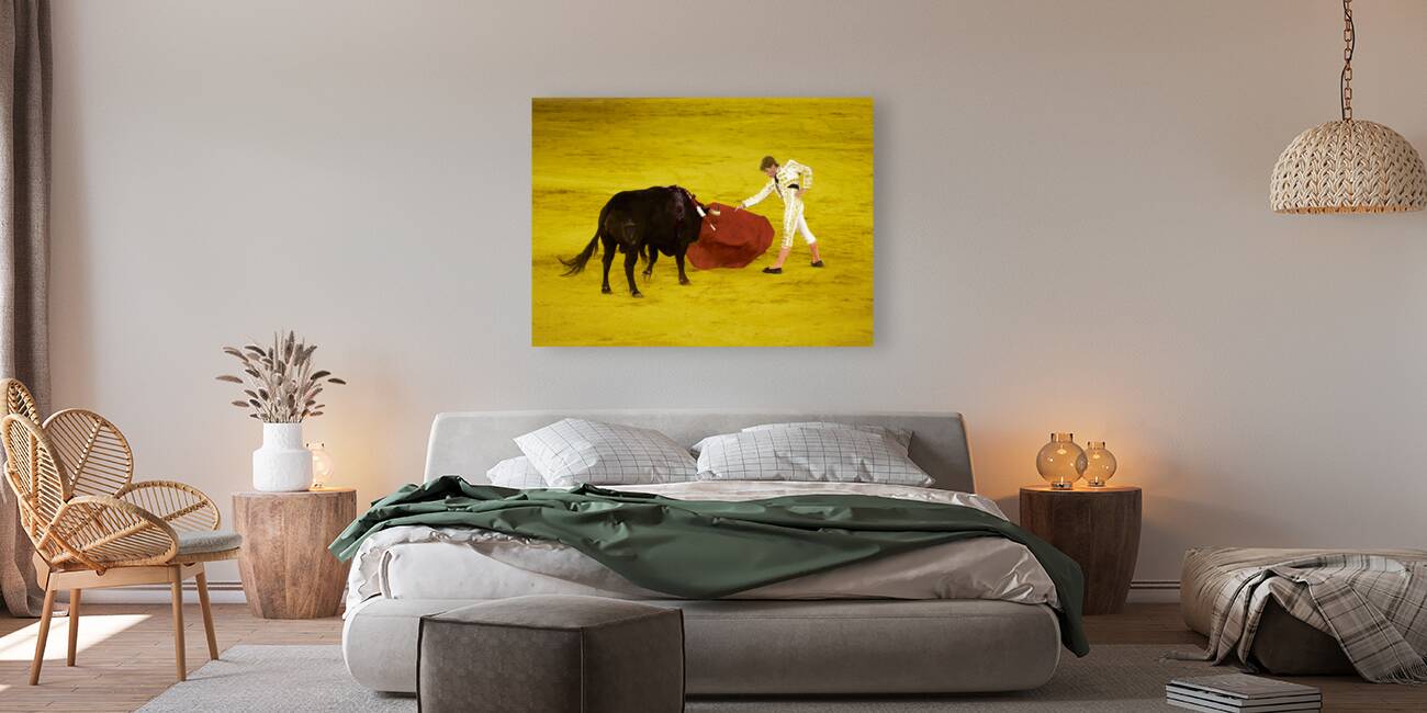 ANDALUSIA SPAIN. Bullfight in Seville Arena Reproduction