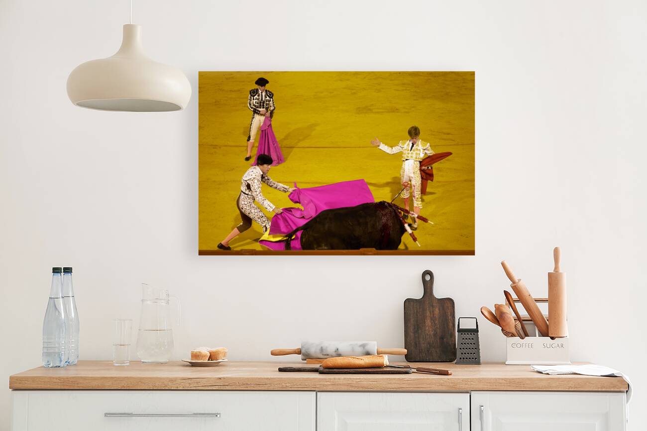 ANDALUSIA SPAIN. Bullfight in Seville Arena Reproduction