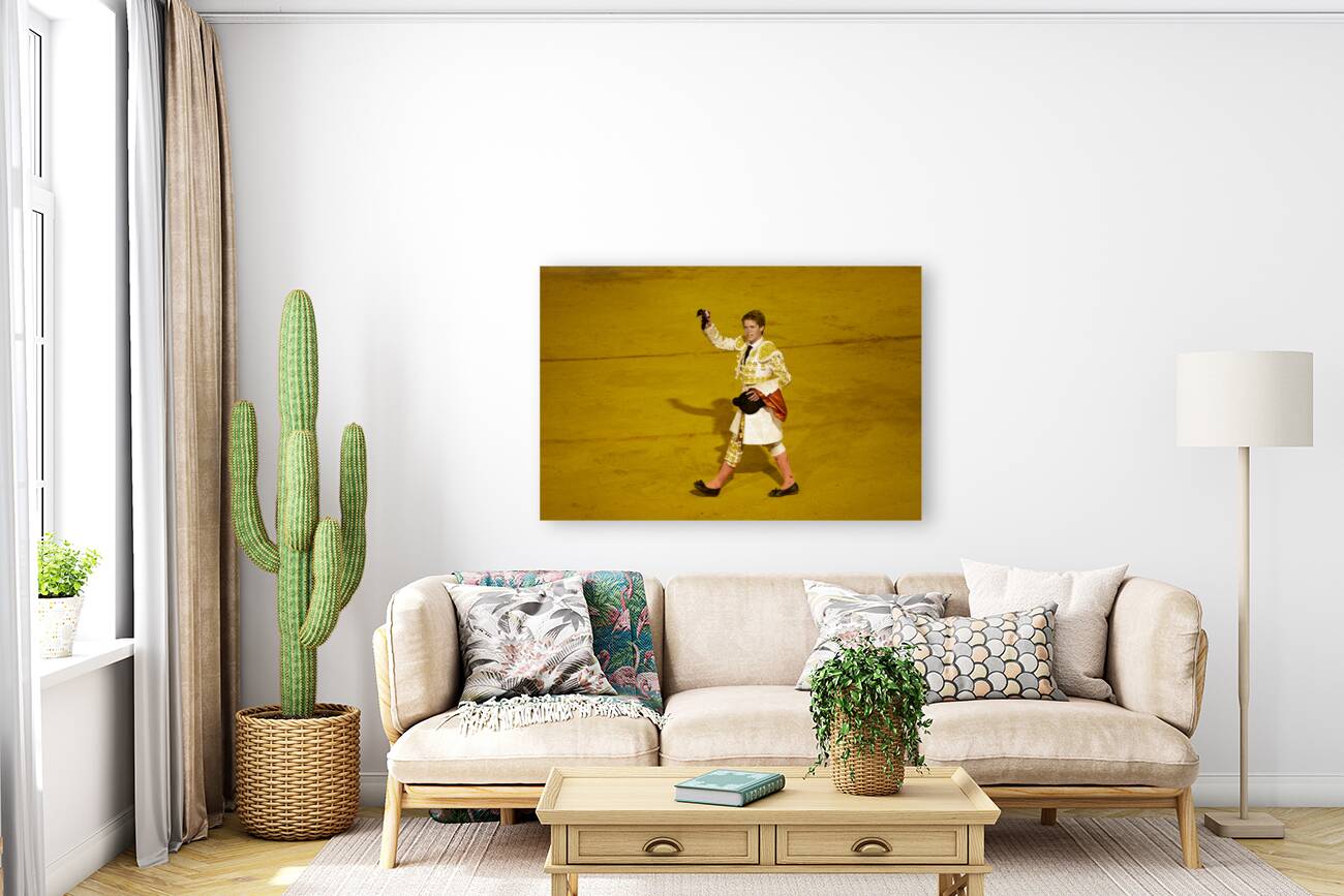 ANDALUSIA SPAIN. Bullfight in Seville Arena Reproduction