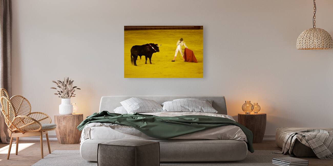 ANDALUSIA SPAIN. Bullfight in Seville Arena Reproduction