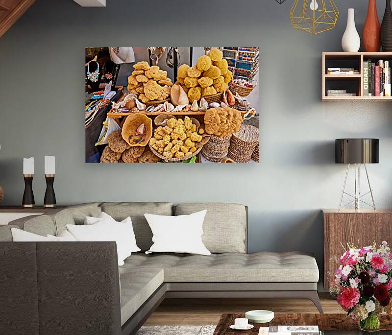 Salento. Apulia Puglia Italy. Gallipoli. Natural sea sponges Reproduction