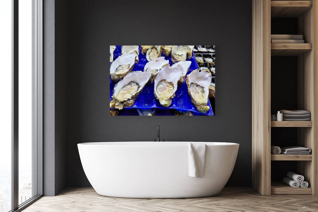 Freshly shucked oysters on blue plastic trays. Reproduction