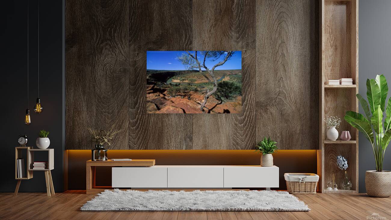 A gnarled tree overlooks a river in a vast canyon. Reproduction