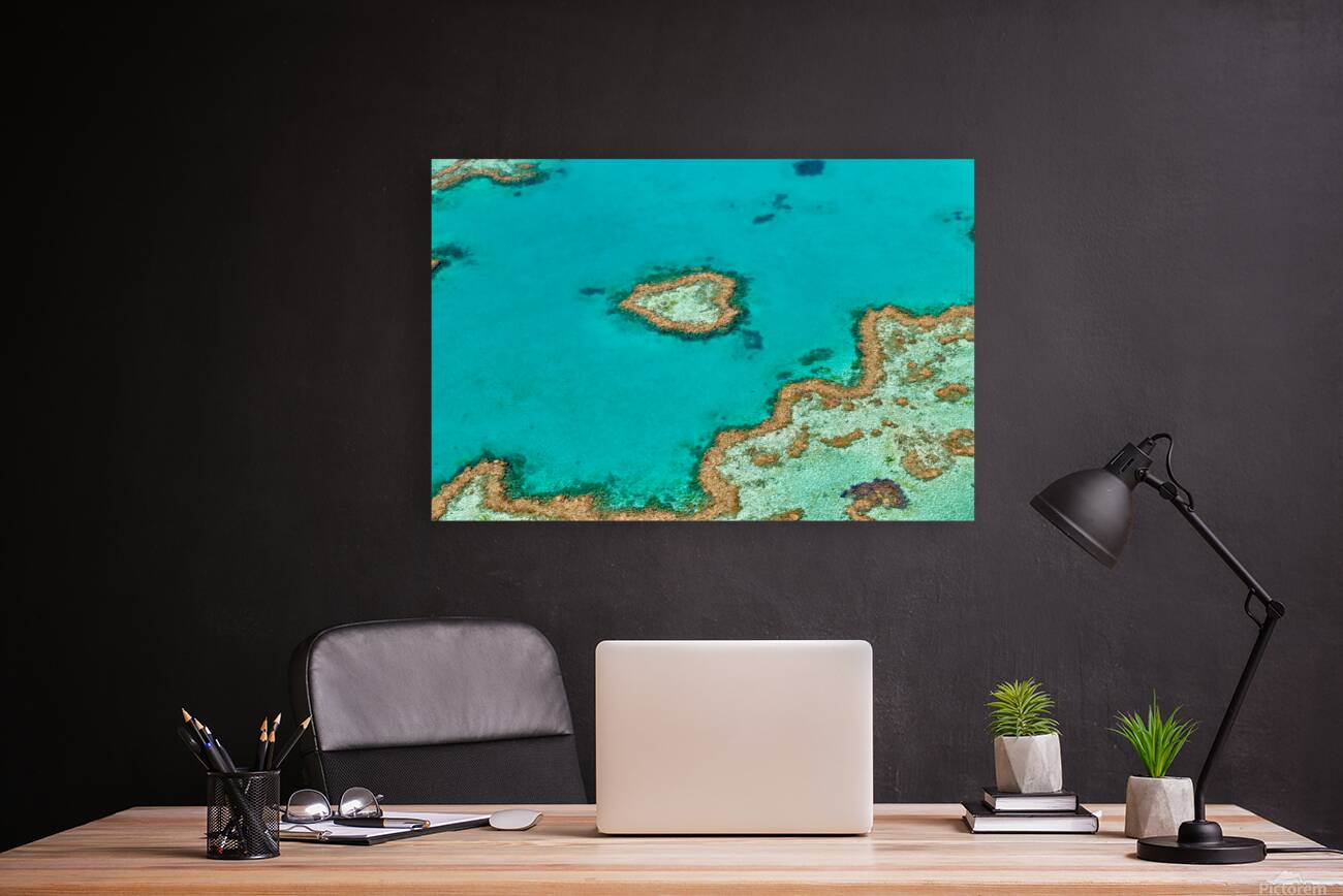 Heart Reef Great Barrier Reef Australia Reproduction