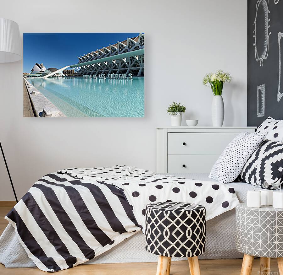 Visit to Museu de les Ciencies Principe Felipe in Valencia Spain Reproduction